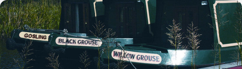 Narrow Boat Scotland